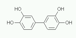 ˤʤʪ