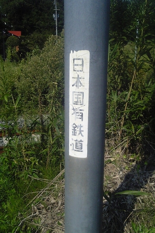 ʤĤ!